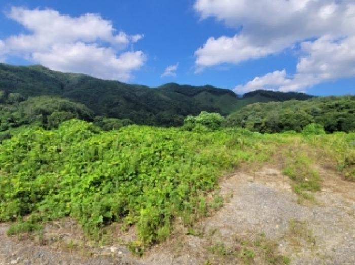 2026타경253 임야 · 충청북도 청주시 상당구 가덕면 한계리 산38-12