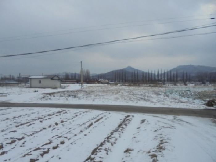 2026타경50015 대지 · 충청북도 진천군 진천읍