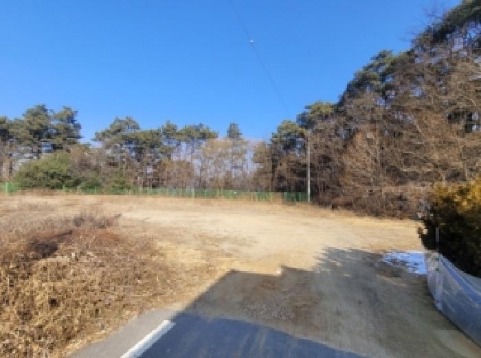 2026타경50060 대지 · 충청북도 증평군 증평읍 덕상리 536-20