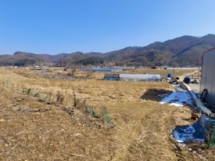 2026타경50108 · 충청북도 괴산군 청천면 삼락리 234