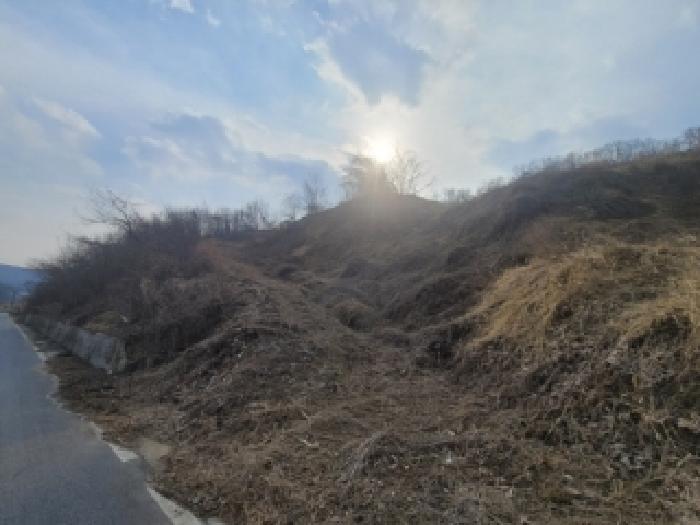 2026타경50119 임야 · 충청북도 괴산군 괴산읍