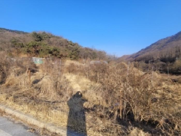 2026타경50126 전답 · 충청북도 괴산군 장연면