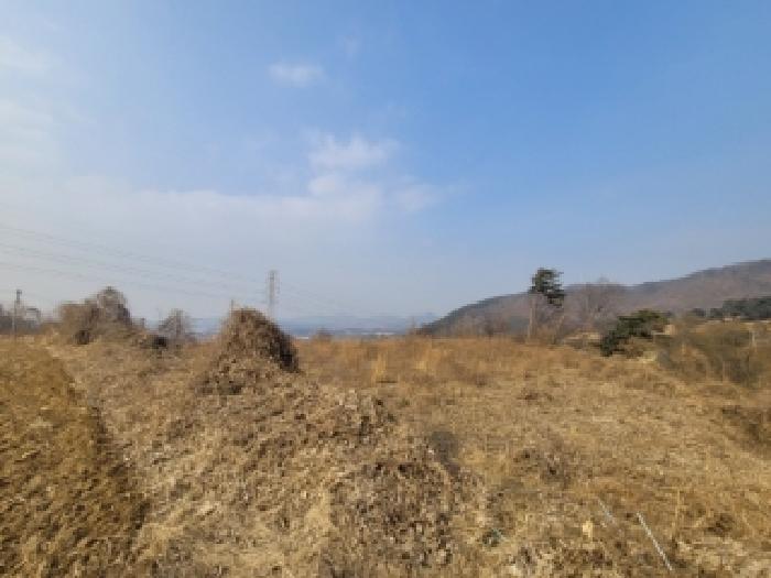 2026타경50151 임야 · 충청북도 청주시 청원구 내수읍 초정리 산44-23