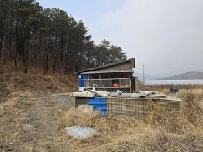 2026타경50166 · 충청북도 보은군 보은읍 강신리 164-3 주1동