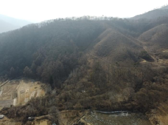 2026타경50175 임야 · 충청북도 진천군 백곡면