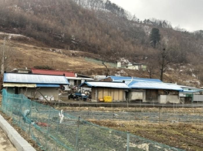 2026타경50182 대지 · 충청북도 청주시 상당구 낭성면 무성리 129-5