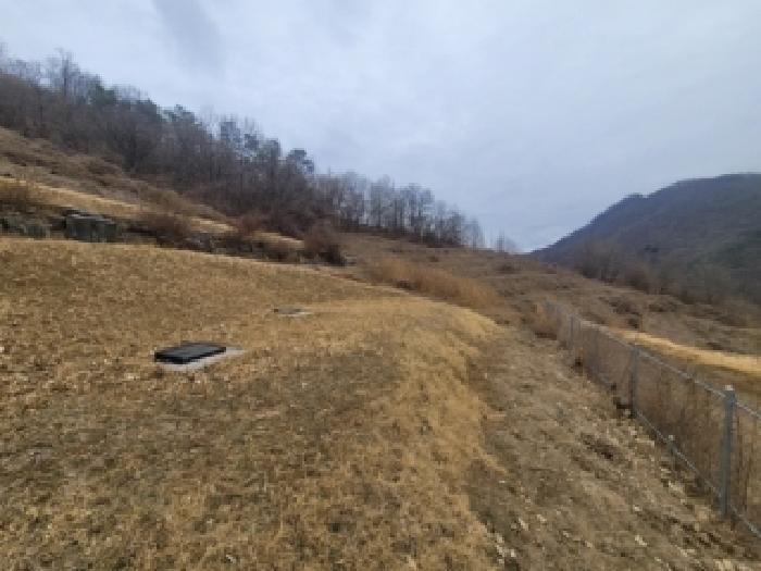 2026타경50187 전답 · 충청북도 괴산군 장연면