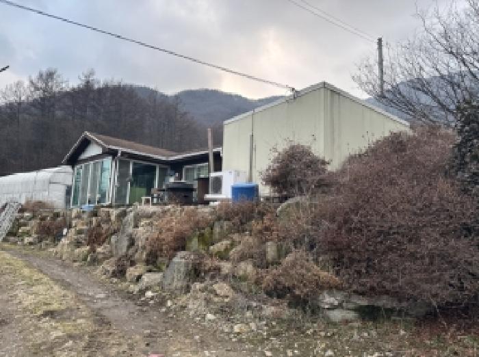 2026타경50230 대지 · 충청북도 보은군 삼승면