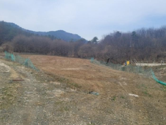 2026타경50284 · 충청북도 괴산군 청천면 강평리 367
