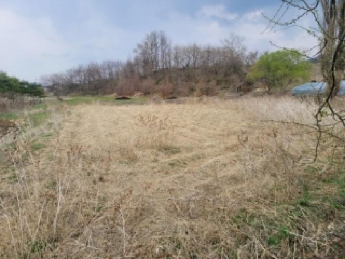 2026타경50300 전답 · 충청북도 청주시 청원구 내수읍