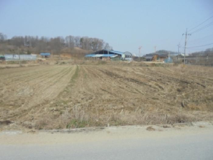 2026타경50333 전답 · 충청북도 청주시 흥덕구 강내면 연정리 247