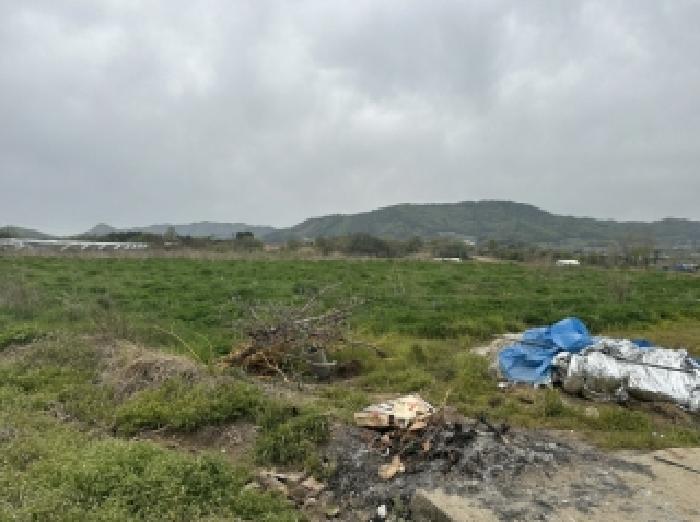 2026타경50361 · 충청북도 보은군 삼승면 내망리 357