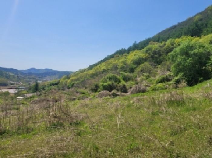 2026타경50446 · 충청북도 괴산군 청천면 신월리 7