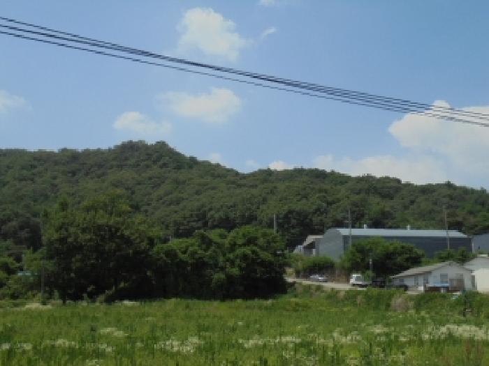 2026타경50638 임야 · 충청북도 진천군 광혜원면 죽현리 산48-11