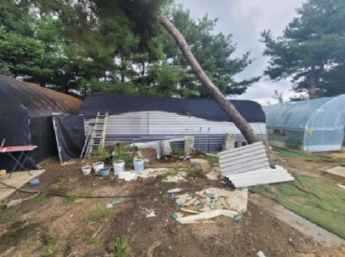 2026타경50829 · 충청북도 청주시 상당구 낭성면 관정리 292-1