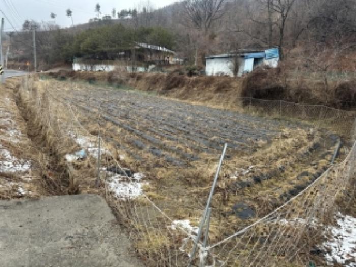 2026타경52 전답 · 충청북도 청주시 상당구 낭성면