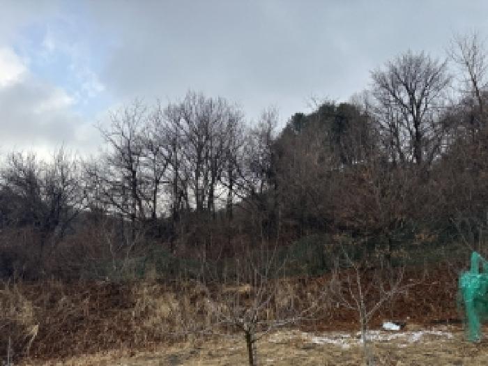 2026타경56 · 충청북도 청주시 상당구 낭성면 무성리 13