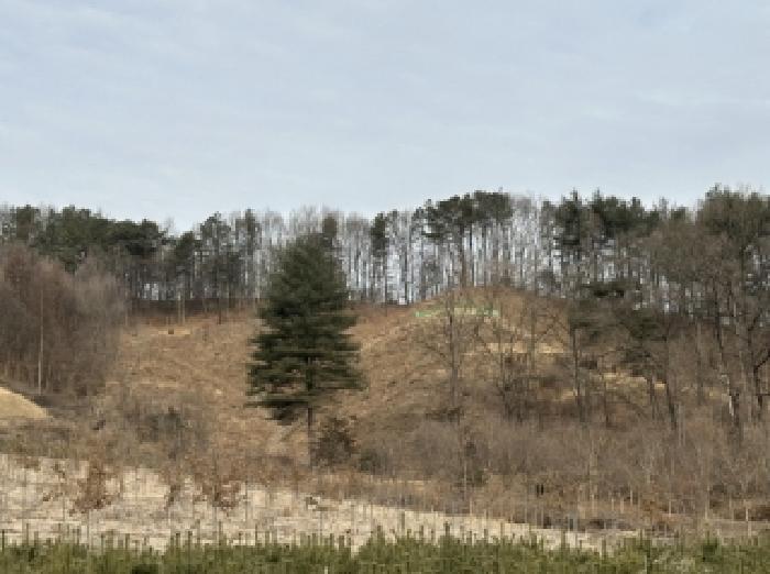 2026타경6 임야 · 충청북도 청주시 상당구 미원면