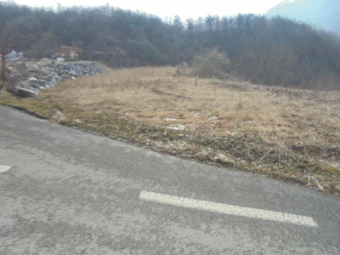 2024타경31368 전답 · 충청북도 충주시 앙성면 목미리 481