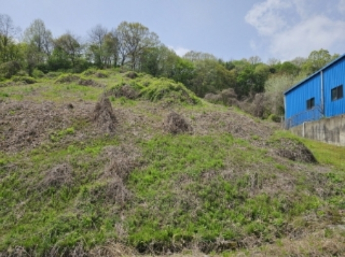 2024타경31870 토지 · 충청북도 충주시 수안보면 중산리 462-3
