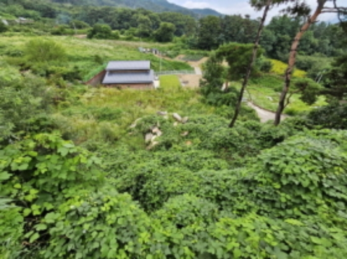 2024타경33029 대지 · 충청북도 음성군 감곡면 상우리 산28-62