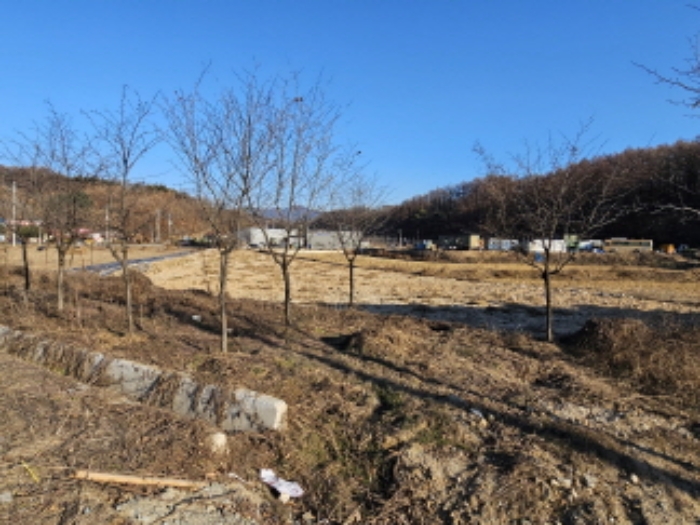 2024타경35940 전답 · 충청북도 충주시 동량면 대전리 1700