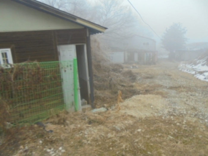 2024타경36349 공장 · 충청북도 음성군 삼성면 덕호로 391-9
