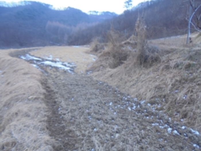 2024타경3646 · 충청북도 충주시 앙성면 중전리 750