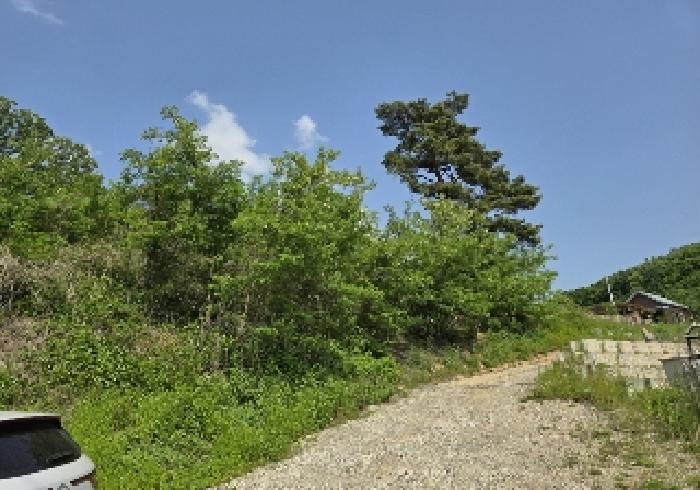 2025타경1005 · 충청북도 충주시 엄정면