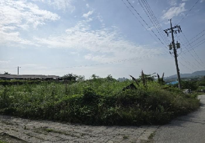 2025타경1241 토지 · 충청북도 충주시 안림동 393-3