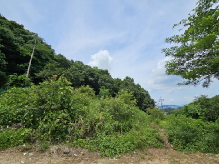 2025타경1500 · 충청북도 충주시 주덕읍 신양리 373-2