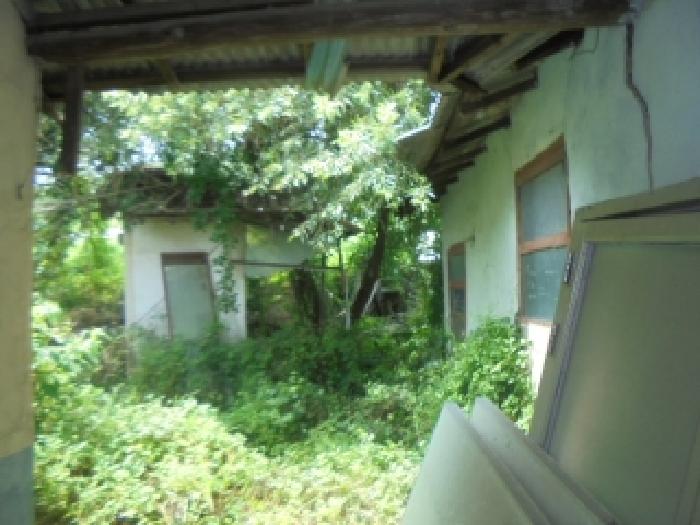 2025타경1678 대지 · 충청북도 충주시 신니면 용원리 129