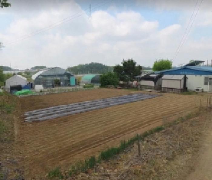2025타경2176 대지 · 충청북도 음성군 금왕읍 유촌리 347-1