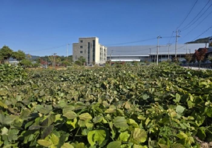 2025타경2374 상가근린 · 충청북도 충주시 용탄동