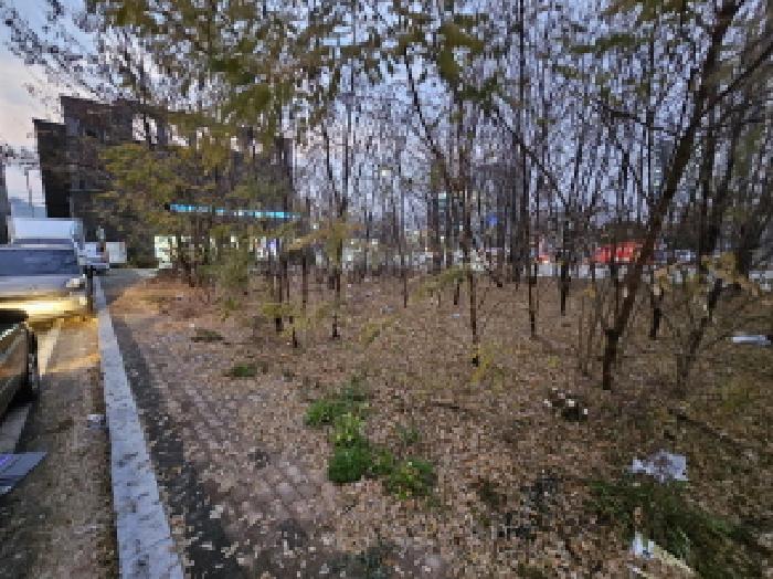 2025타경2473 대지 · 충청북도 음성군 금왕읍 금석리 516