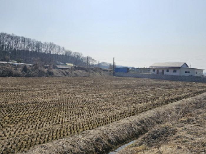 2025타경30394 전답 · 충청북도 음성군 금왕읍 본대리 94