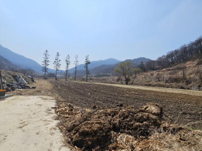 2025타경30427 전답 · 충청북도 충주시 앙성면 지당리 503