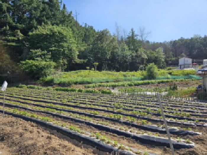 2025타경30497 · 충청북도 충주시 대소원면 만정리 362-13