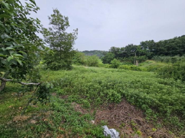 2025타경30580 · 충청북도 충주시 주덕읍 장록리 106-1