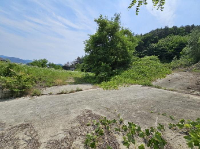 2025타경30606 임야 · 충청북도 음성군 금왕읍 무극리 산31