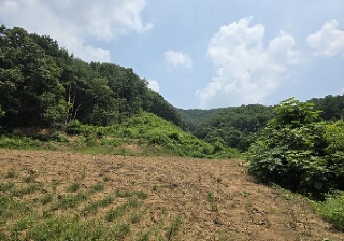 2025타경30615 임야 · 충청북도 충주시 엄정면