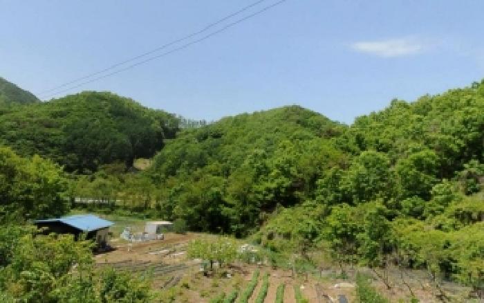 2025타경30672 · 충청북도 충주시 대소원면 탄용리 379-1