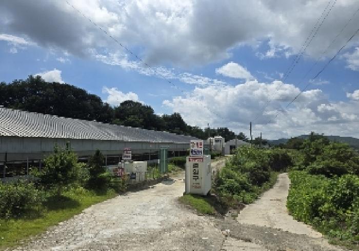 2025타경30737 상가근린 · 충청북도 음성군 원남면