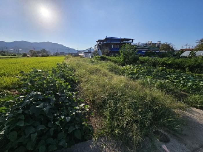 2025타경30763 대지 · 충청북도 충주시 풍동 355-3