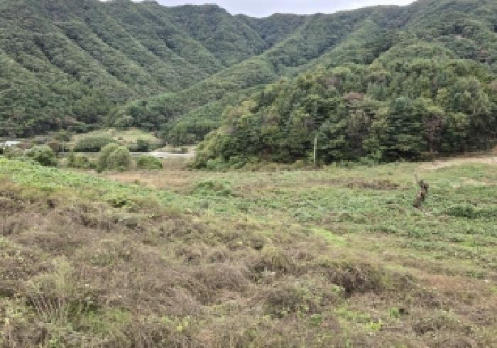 2025타경30828 전답 · 충청북도 충주시 수안보면
