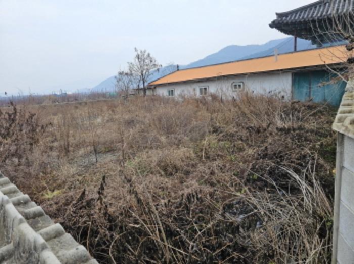 2025타경30874 대지 · 충청북도 음성군 감곡면 주천리 320-1