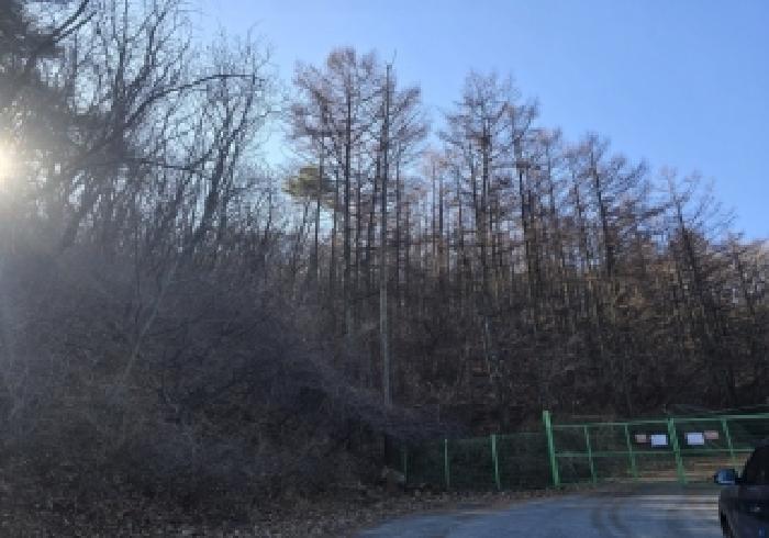 2025타경30931 임야 · 충청북도 충주시 산척면