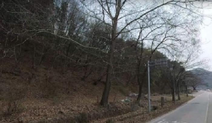 2025타경30941 대지 · 충청북도 충주시 수안보면 안보리 290-1