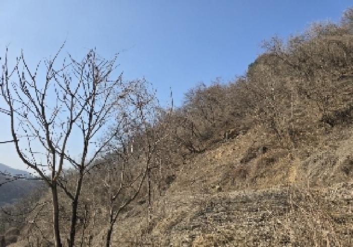 2025타경606 · 충청북도 충주시 살미면 향산리 564