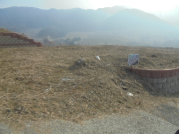 2025타경71 토지 · 충청북도 충주시 안림동 98-43